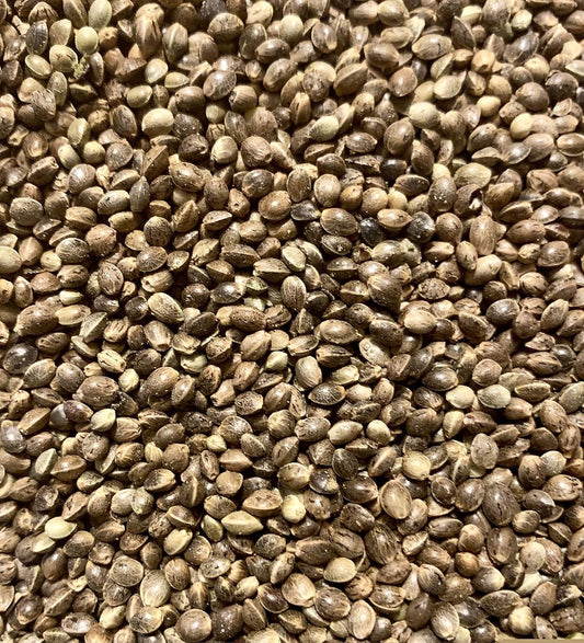 *IN SEASON* Organic Hemp Seeds | 20-30 grams | Food grade Organic Seeds